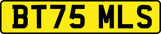 BT75MLS