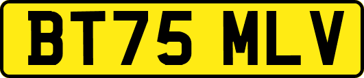 BT75MLV