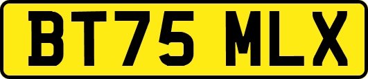 BT75MLX