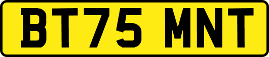 BT75MNT