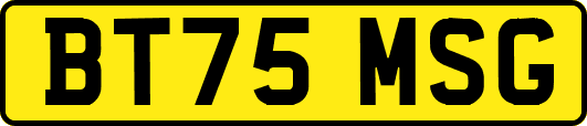 BT75MSG