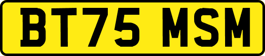 BT75MSM