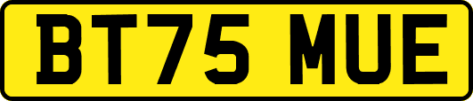 BT75MUE