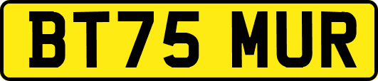 BT75MUR