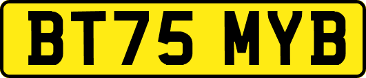 BT75MYB