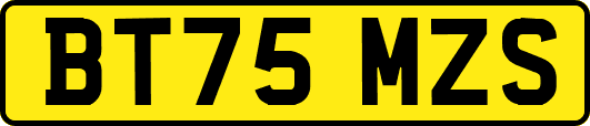 BT75MZS