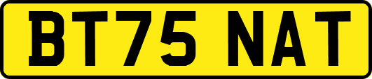 BT75NAT