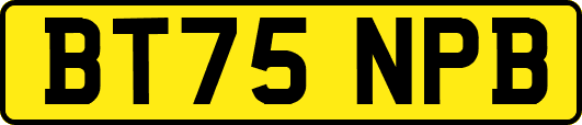 BT75NPB