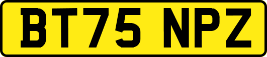BT75NPZ