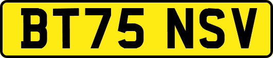 BT75NSV