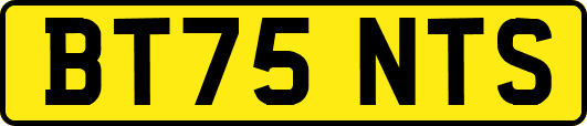 BT75NTS