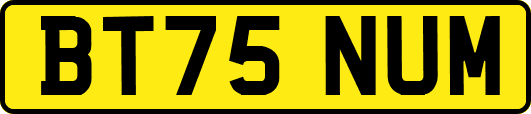 BT75NUM