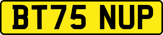 BT75NUP