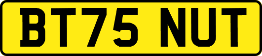 BT75NUT