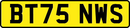 BT75NWS