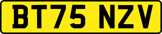 BT75NZV