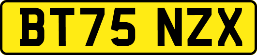 BT75NZX