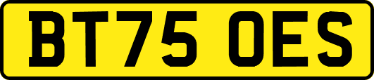 BT75OES