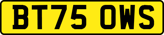 BT75OWS