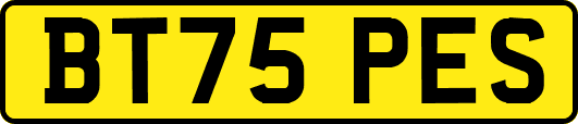 BT75PES