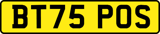 BT75POS