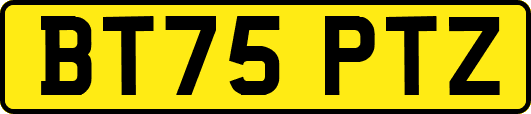 BT75PTZ