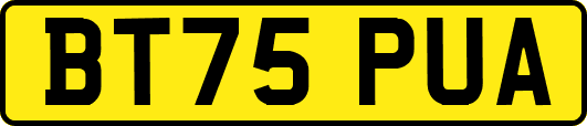 BT75PUA