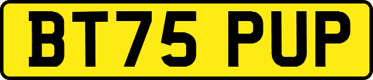 BT75PUP