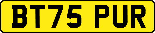 BT75PUR