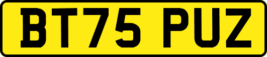 BT75PUZ
