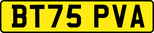 BT75PVA