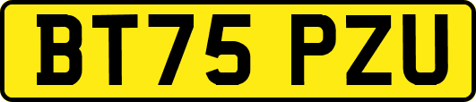 BT75PZU