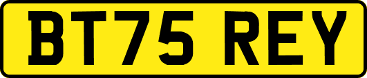 BT75REY