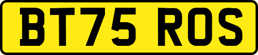 BT75ROS