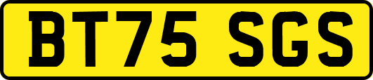 BT75SGS