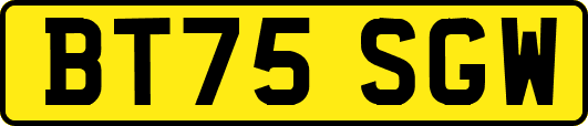 BT75SGW