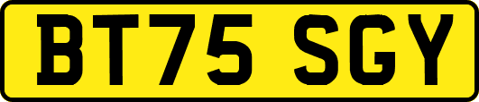 BT75SGY