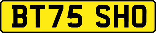 BT75SHO