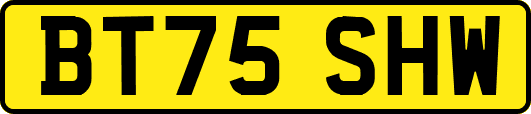 BT75SHW