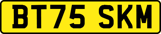 BT75SKM