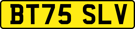 BT75SLV