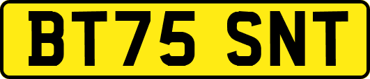 BT75SNT
