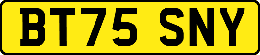 BT75SNY