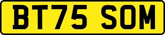 BT75SOM
