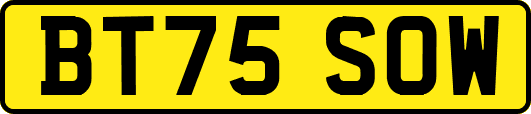 BT75SOW