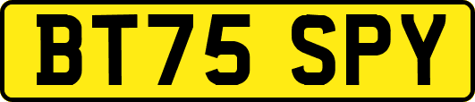 BT75SPY