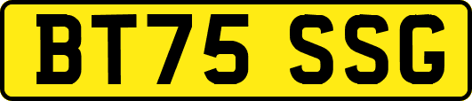 BT75SSG