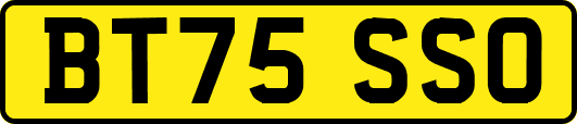BT75SSO