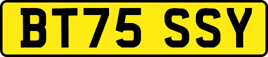 BT75SSY