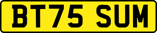 BT75SUM